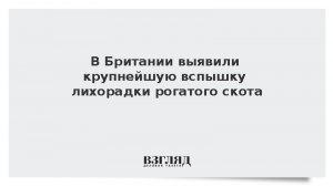 В Британии выявили крупнейшую вспышку лихорадки рогатого скота