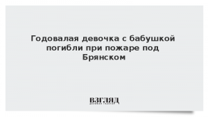 Годовалая девочка с бабушкой погибли при пожаре под Брянском