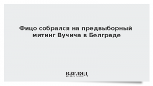 Фицо собрался на предвыборный митинг Вучича в Белграде
