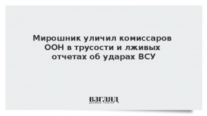 Мирошник уличил комиссаров ООН в трусости и лживых отчетах об ударах ВСУ