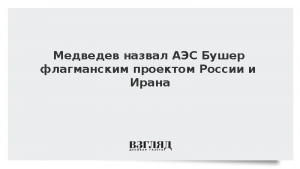 Медведев назвал АЭС Бушер флагманским проектом России и Ирана