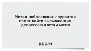 Метод нобелевских лауреатов помог найти вызывающие депрессию клетки мозга