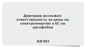 Дмитриев возложил ответственность за цены на электроэнергию в ЕС на русофобов