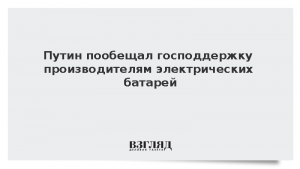 Путин пообещал господдержку производителям электрических батарей