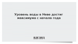 Уровень воды в Неве достиг максимума с начала года