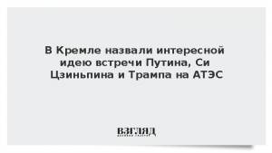 В Кремле назвали интересной идею встречи Путина, Си Цзиньпина и Трампа на АТЭС