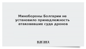 Минобороны Болгарии не установило принадлежность атаковавших суда дронов