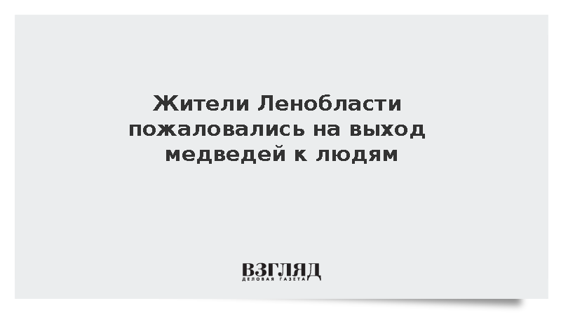 Жители Ленобласти пожаловались на выход медведей к людям