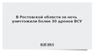 В Ростовской области за ночь уничтожили более 30 дронов ВСУ