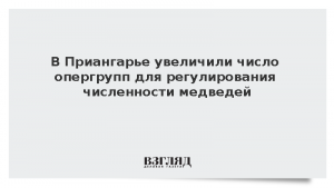 В Приангарье увеличили число опергрупп для регулирования численности медведей