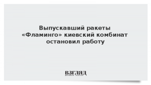 Выпускавший ракеты «Фламинго» киевский комбинат остановил работу