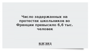 Число задержанных на протестах школьников во Франции превысило 6,6 тыс. человек
