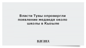 Власти Тувы опровергли появление медведя около школы в Кызыле