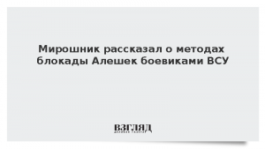 Мирошник рассказал о методах блокады Алешек боевиками ВСУ