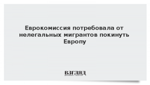 Еврокомиссия потребовала от нелегальных мигрантов покинуть Европу