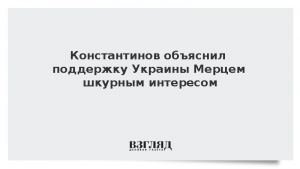 Константинов объяснил поддержку Украины Мерцем шкурным интересом