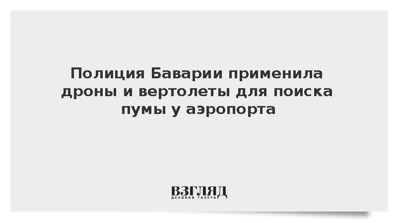 Полиция Баварии применила дроны и вертолеты для поиска пумы у аэропорта