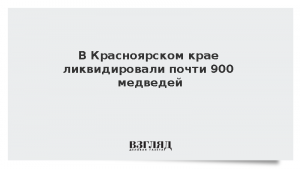В Красноярском крае ликвидировали почти 900 медведей