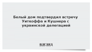 Белый дом подтвердил встречу Уиткоффа и Кушнера с украинской делегацией