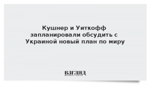 NewsNation: Кушнер и Уиткофф обсудят в пятницу с Украиной новую мирную сделку