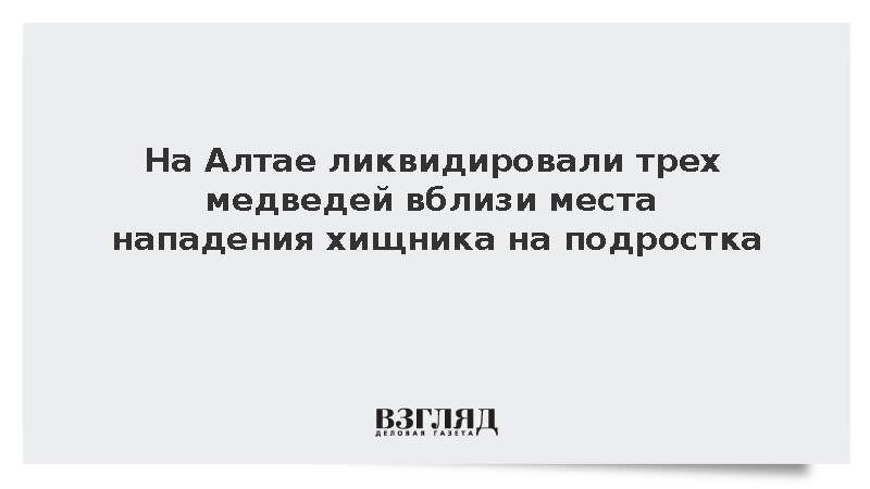 На Алтае ликвидировали трех медведей вблизи места нападения хищника на подростка
