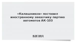 «Калашников» поставил иностранному заказчику партию автоматов АК-103