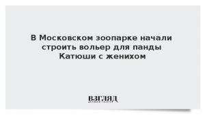 В Московском зоопарке начали строить вольер для панды Катюши с женихом