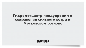 Гидрометцентр предупредил о сохранении сильного ветра в Московском регионе