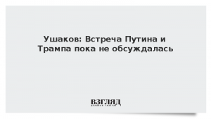 Ушаков: Встреча Путина и Трампа пока не обсуждалась