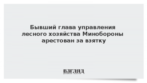 Бывший глава управления лесного хозяйства Минобороны арестован за взятку