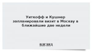 Уиткофф и Кушнер запланировали визит в Москву в ближайшие две недели