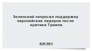 Зеленский запросил поддержку европейских лидеров после критики Трампа