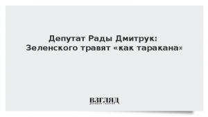 Депутат Рады Дмитрук: Зеленского травят «как таракана»