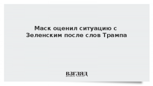 Маск оценил ситуацию с Зеленским после слов Трампа