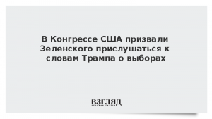В Конгрессе США призвали Зеленского прислушаться к словам Трампа о выборах