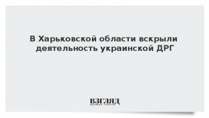 В Харьковской области вскрыли деятельность украинской ДРГ