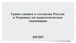 Трамп заявил о согласии России и Украины на энергетическое перемирие