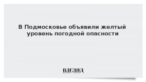 В Подмосковье объявили желтый уровень погодной опасности