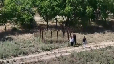 Захоронение сибирской язвы обнаружилось рядом с жилыми домами в Алматинской области
