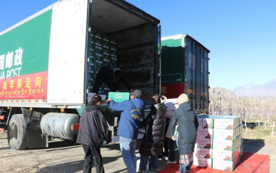 В автономном районе Китая наблюдается устойчивый рост внешней торговли