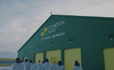 Молочно-товарную ферму на 2500 голов запустили в Северо-Казахстанской области