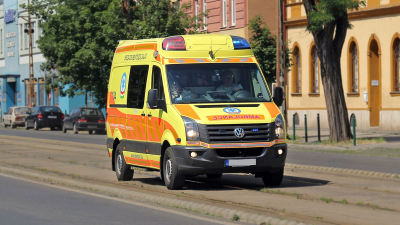 Число погибших из-за лесного пожара на юго-востоке Испании увеличилось до 12 человек