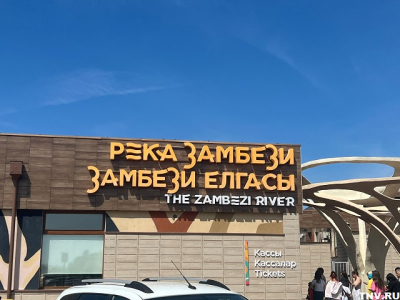 В Казанском зоопарке нашли плесень на кухне и «общую палату» для больных животных