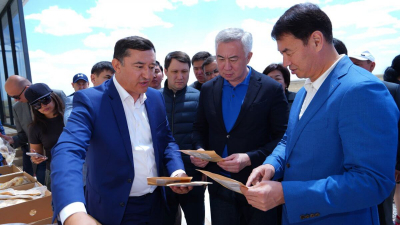 Новая откормочная площадка для скота строится в Арыси