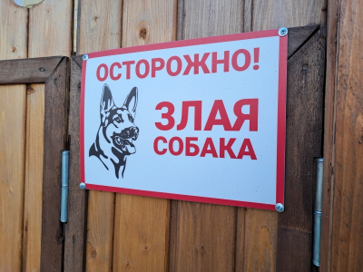 В Борском районе собака покусала 13-летнюю девочку: проводится проверка