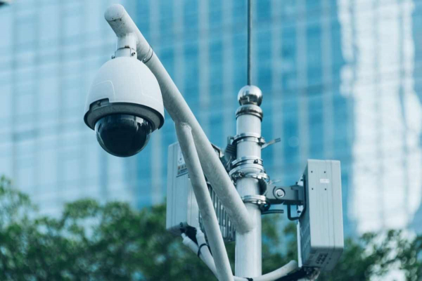 Глава МВД прокомментировал использование собак-роботов на дорогах Астаны