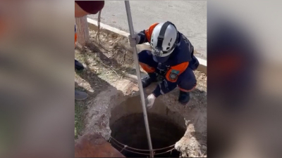 Спасение тонущего щенка в Кызылорде попало на видео