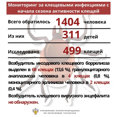 Число обращений с укусами клещей в Татарстане превысило 1,4 тысячи